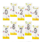 Silver Number Party Candles/Cake Topper
