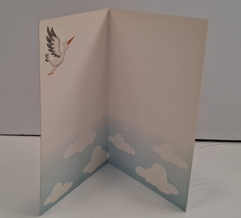 Baby Shower Pelican Balloons & Gifts Blank Greeting Card
