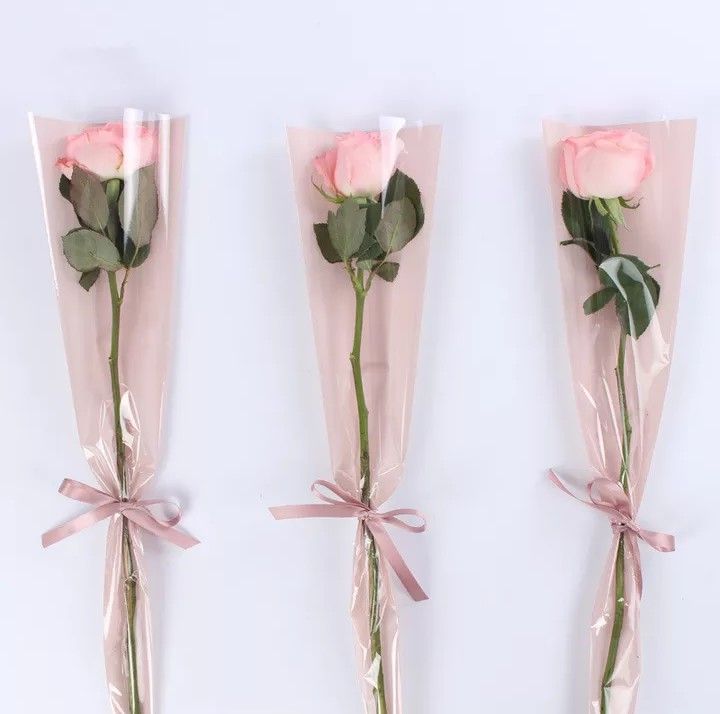 Single PINK Roses Fresh Flower