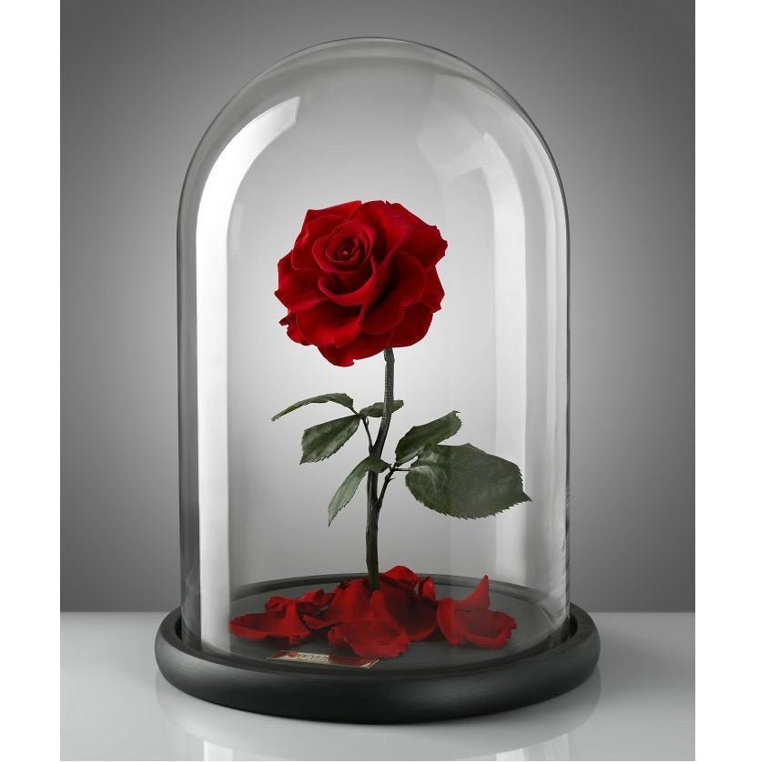 Forever LOVE Rose in Glass Dome