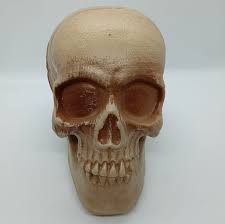 SKULL MINI 1.5inches