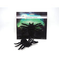 Halloween Spider